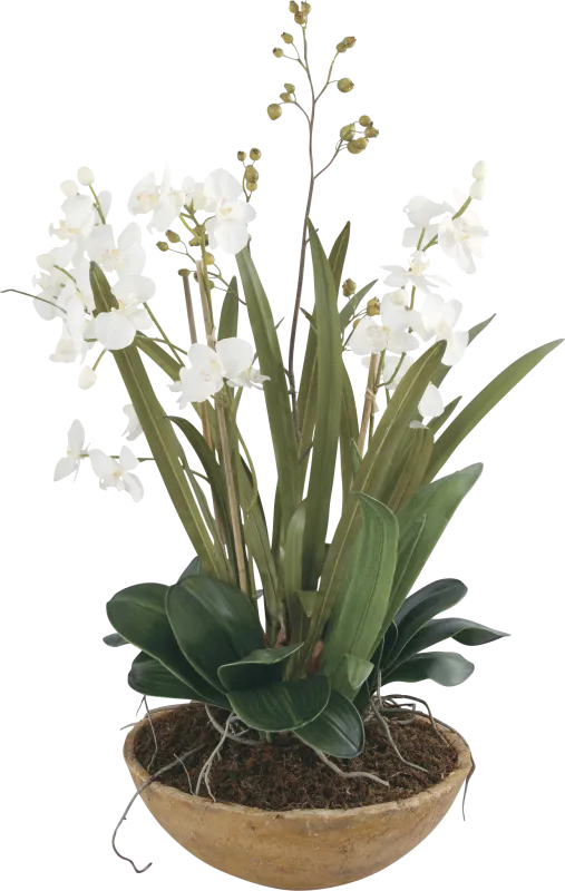 Islewood White Faux Orchid