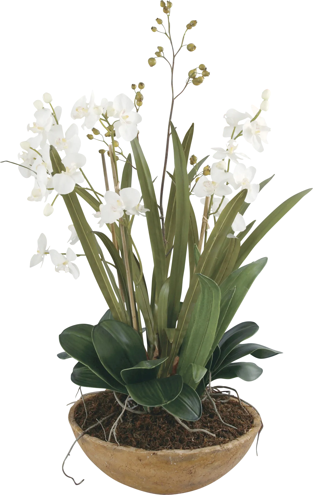 Islewood White Faux Orchid - Image 1