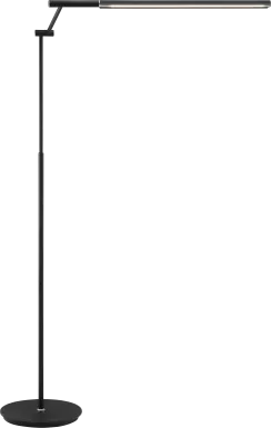 Uryno Road Black Floor Lamp