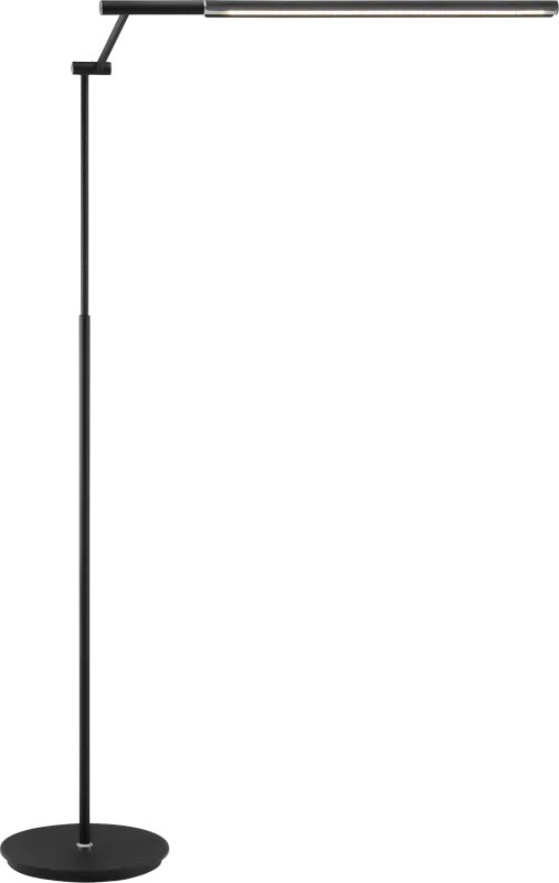 Uryno Road Black Floor Lamp
