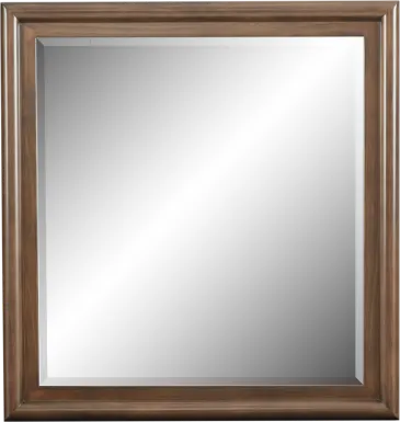 Kids Santa Cruz Brown Cherry Mirror