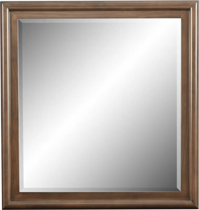 Kids Santa Cruz Brown Cherry Mirror