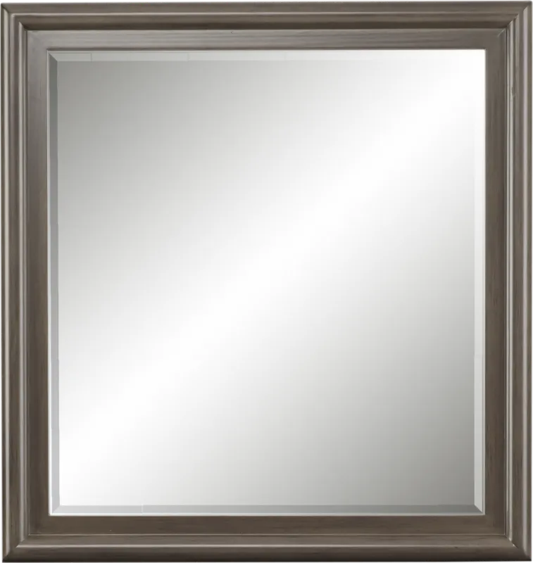 Kids Santa Cruz Gray Mirror