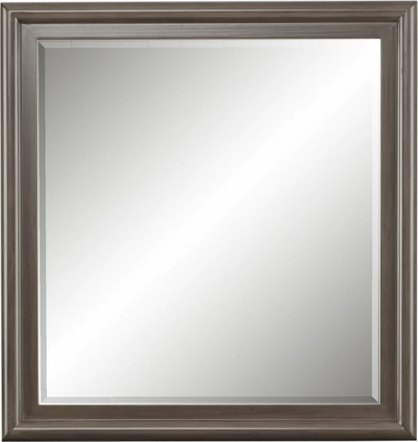 Kids Santa Cruz Gray Mirror