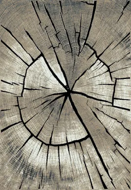 Oakham Gray 5' x 7'3 Rug