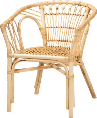 Elinaor Brown Arm Chair