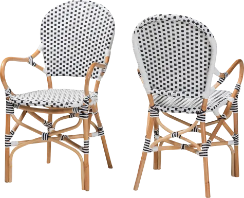 Outdoor Nalina Elle I Black Arm Chair, Set of 2