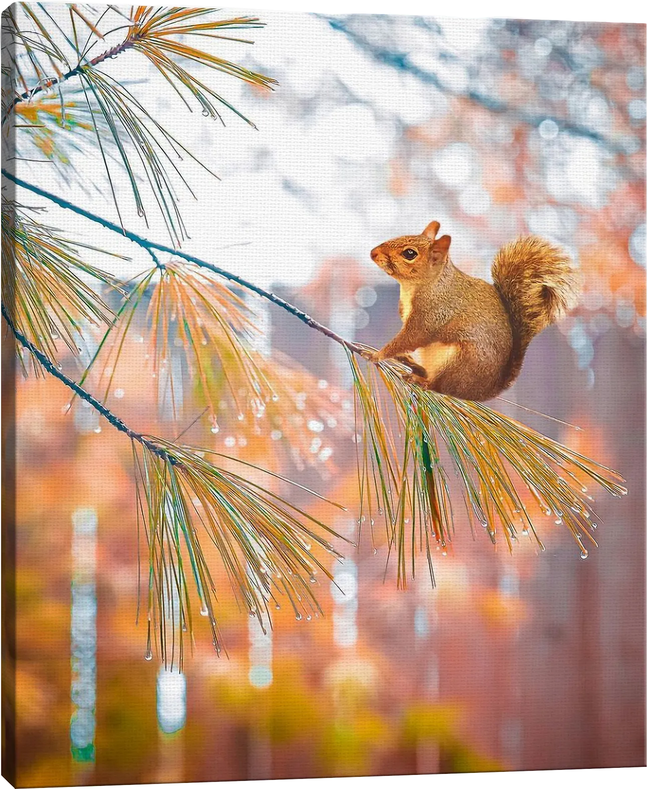 Kids Baby Squirrel I Brown Artwork - Thumbnail - Image 1