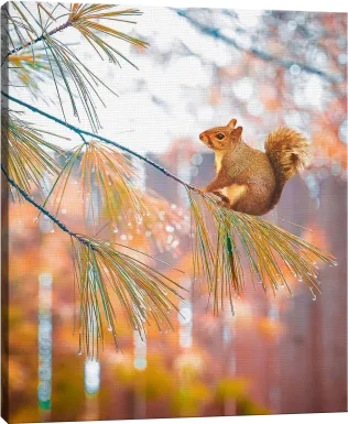 Kids Baby Squirrel II Brown Artwork