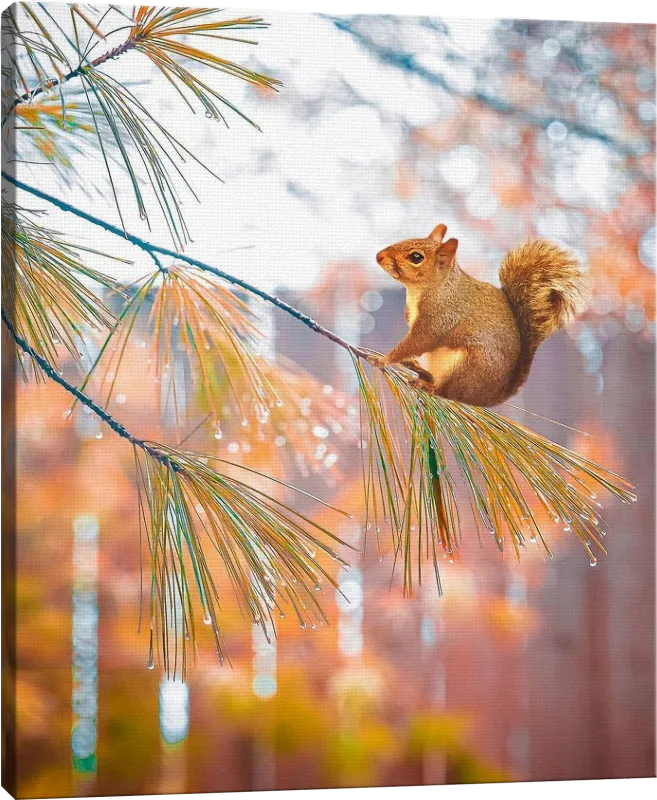 Kids Baby Squirrel II Brown Artwork