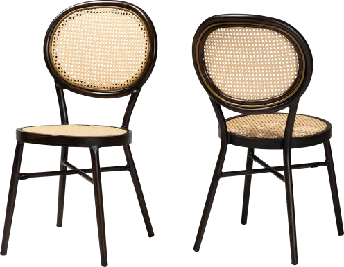 Outdoor Ivanel Brown Side Chair, Set of 2