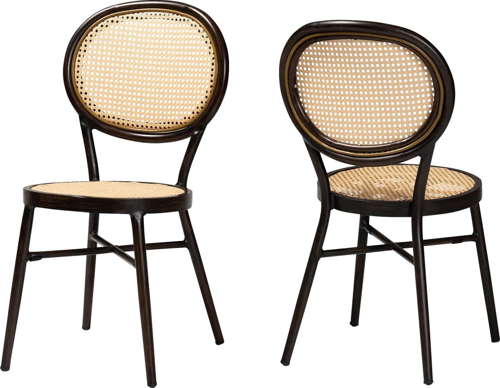 Outdoor Ivanel Brown Side Chair, Set of 2