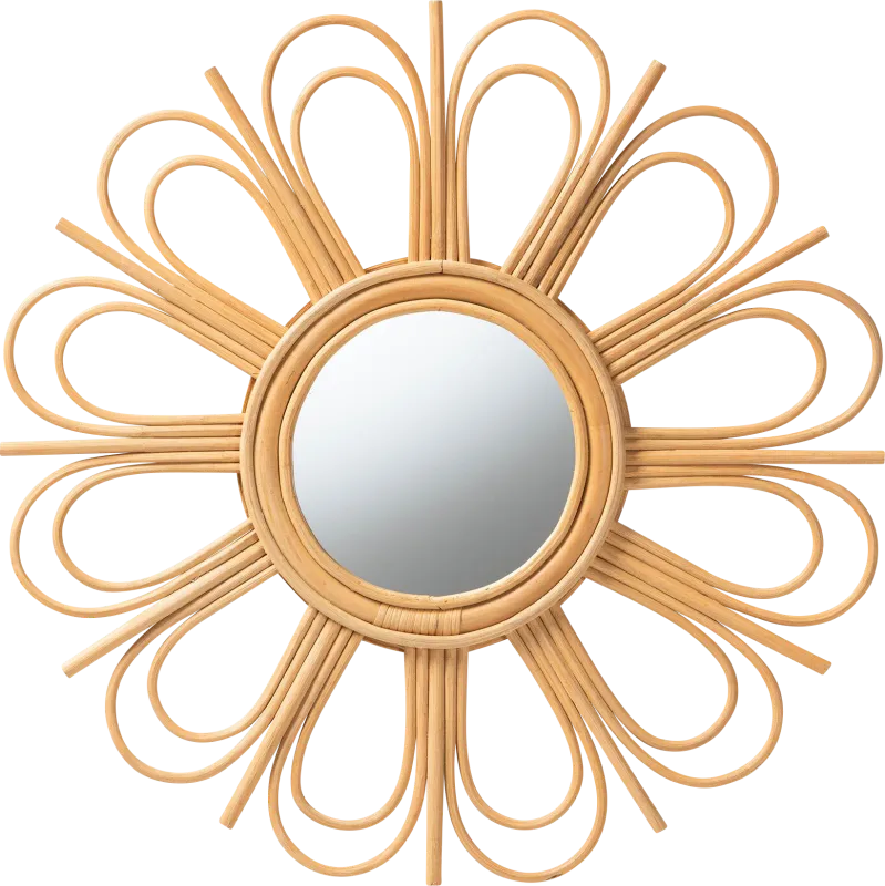 Janila Brown Accent Mirror