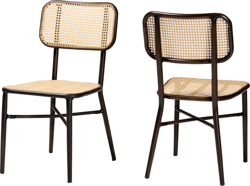 Outdoor Atniael Brown Side Chair, Set of 2