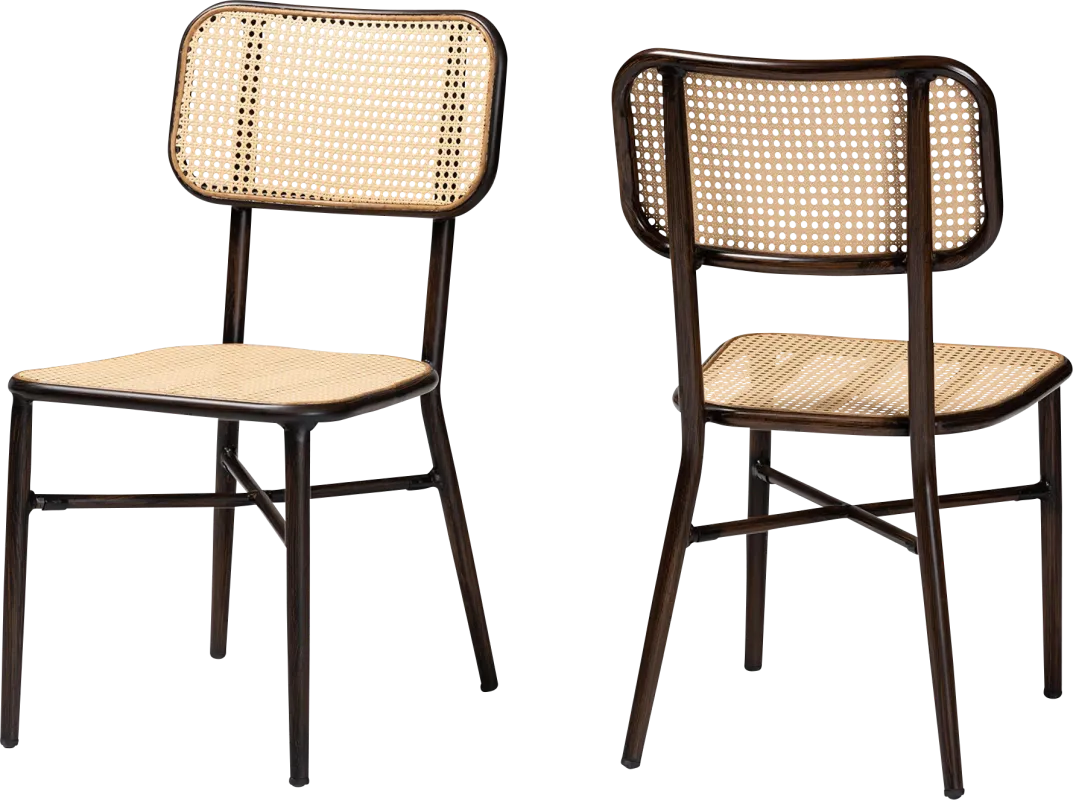 Outdoor Atniael Brown Side Chair, Set of 2