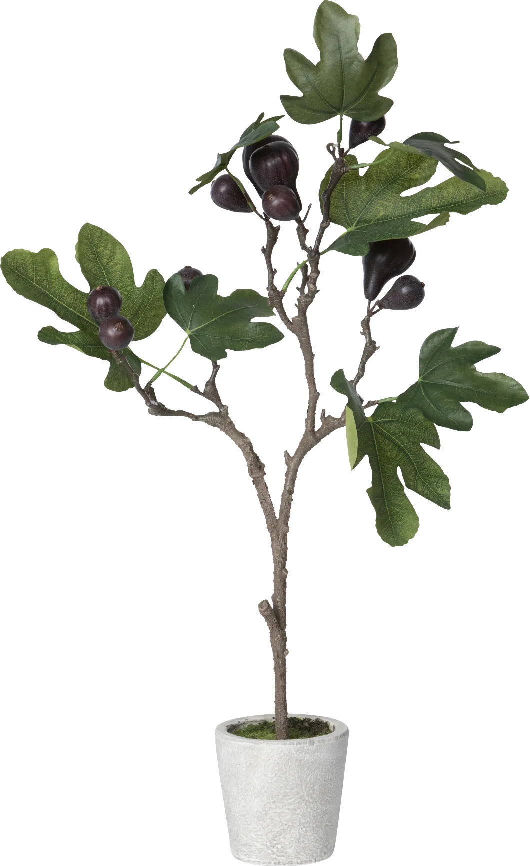 Jayleen Green Topiary - Image 1