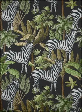 Tuscadora Black 5' x 8' Rug