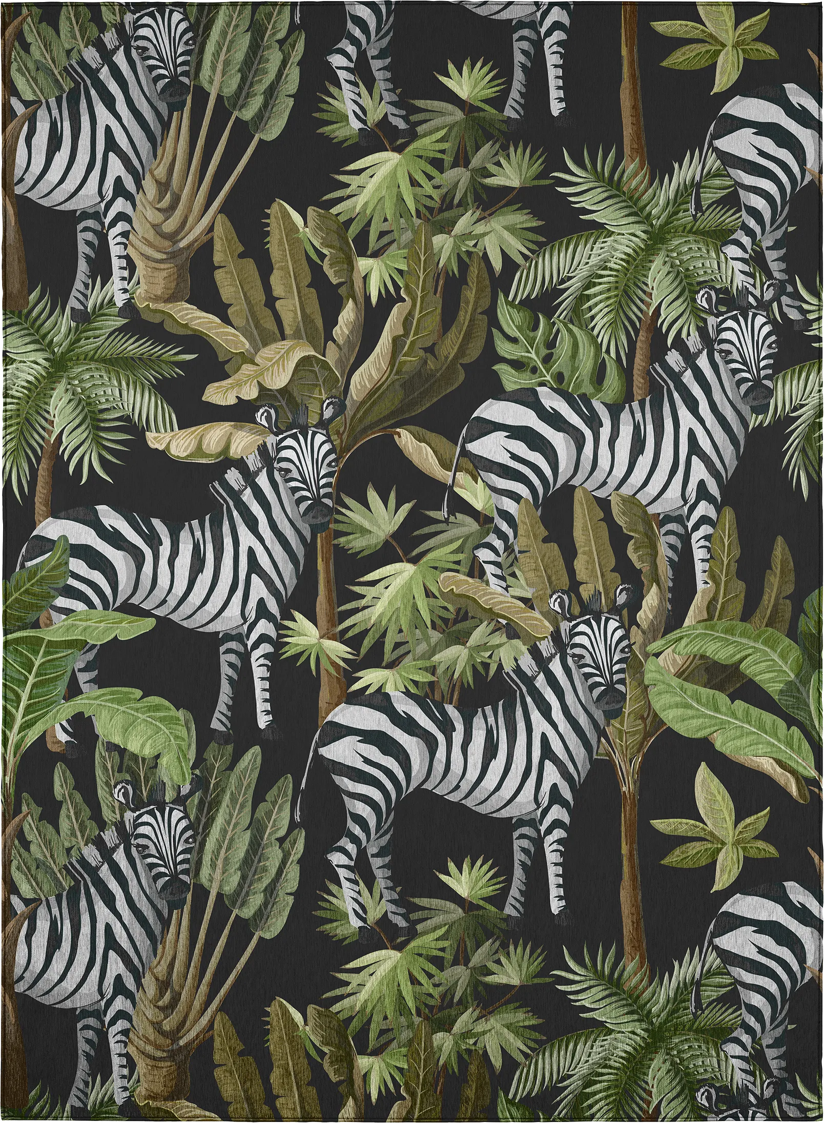 Tuscadora Black 3' x 5' Rug - Image 1