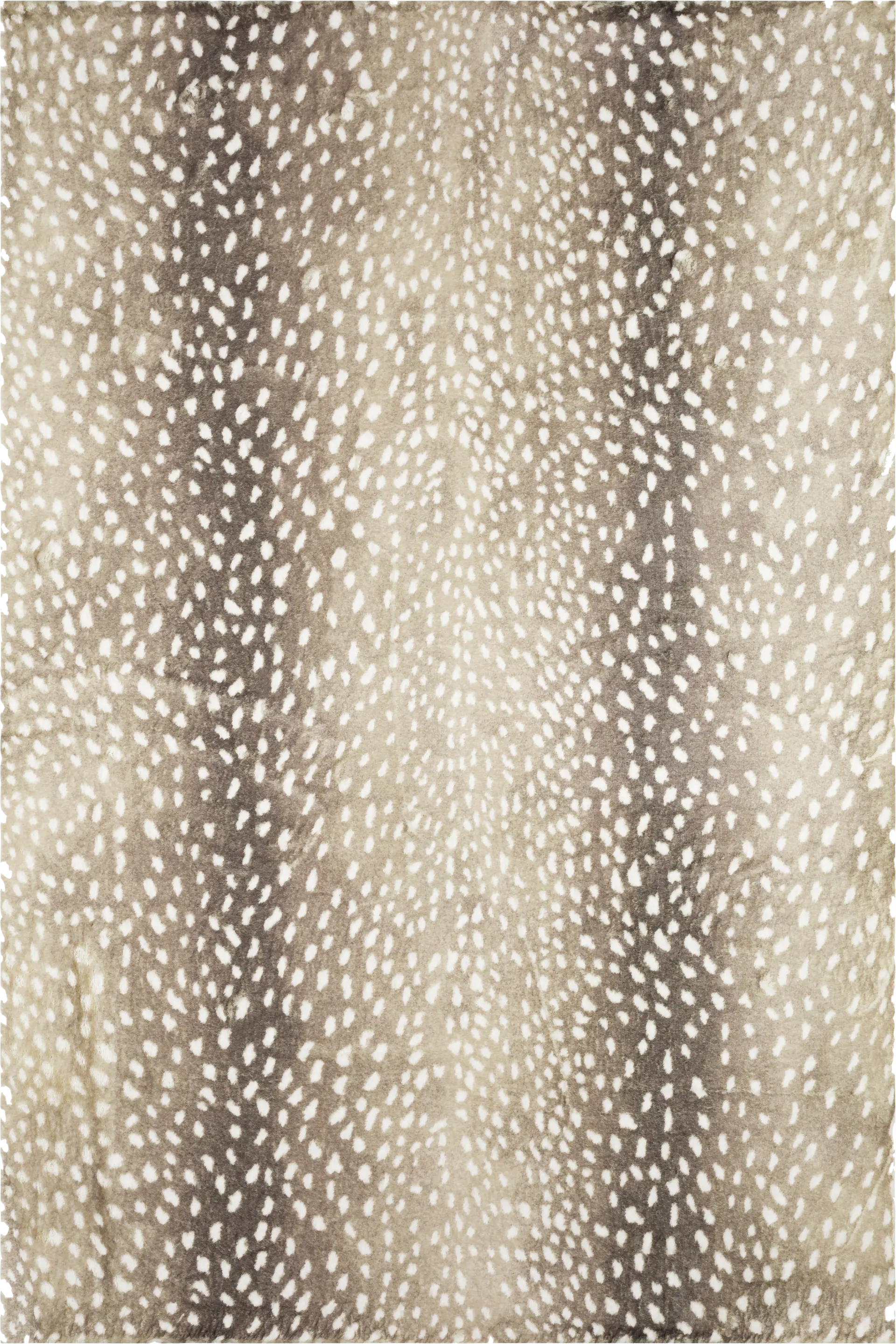 Elmgrove Beige 3' x 5' Rug