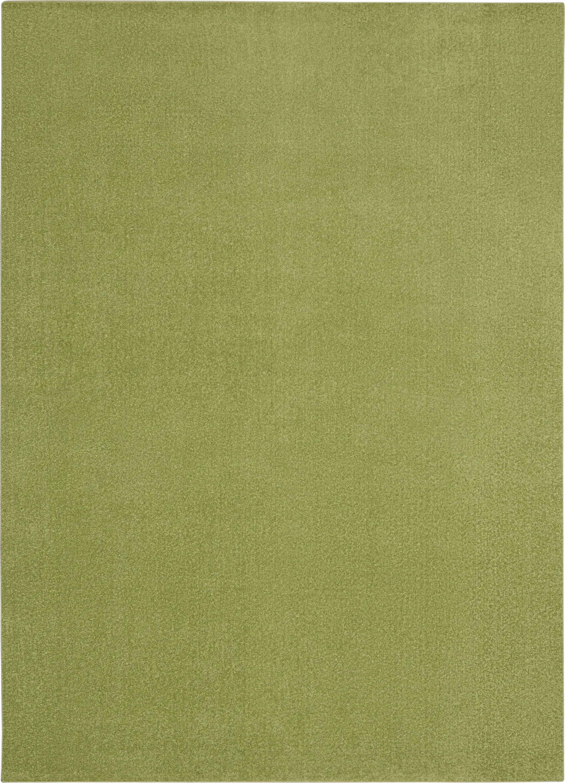 Easthagen Green 5' x 7' Indoor/Outdoor Rug - Image 1
