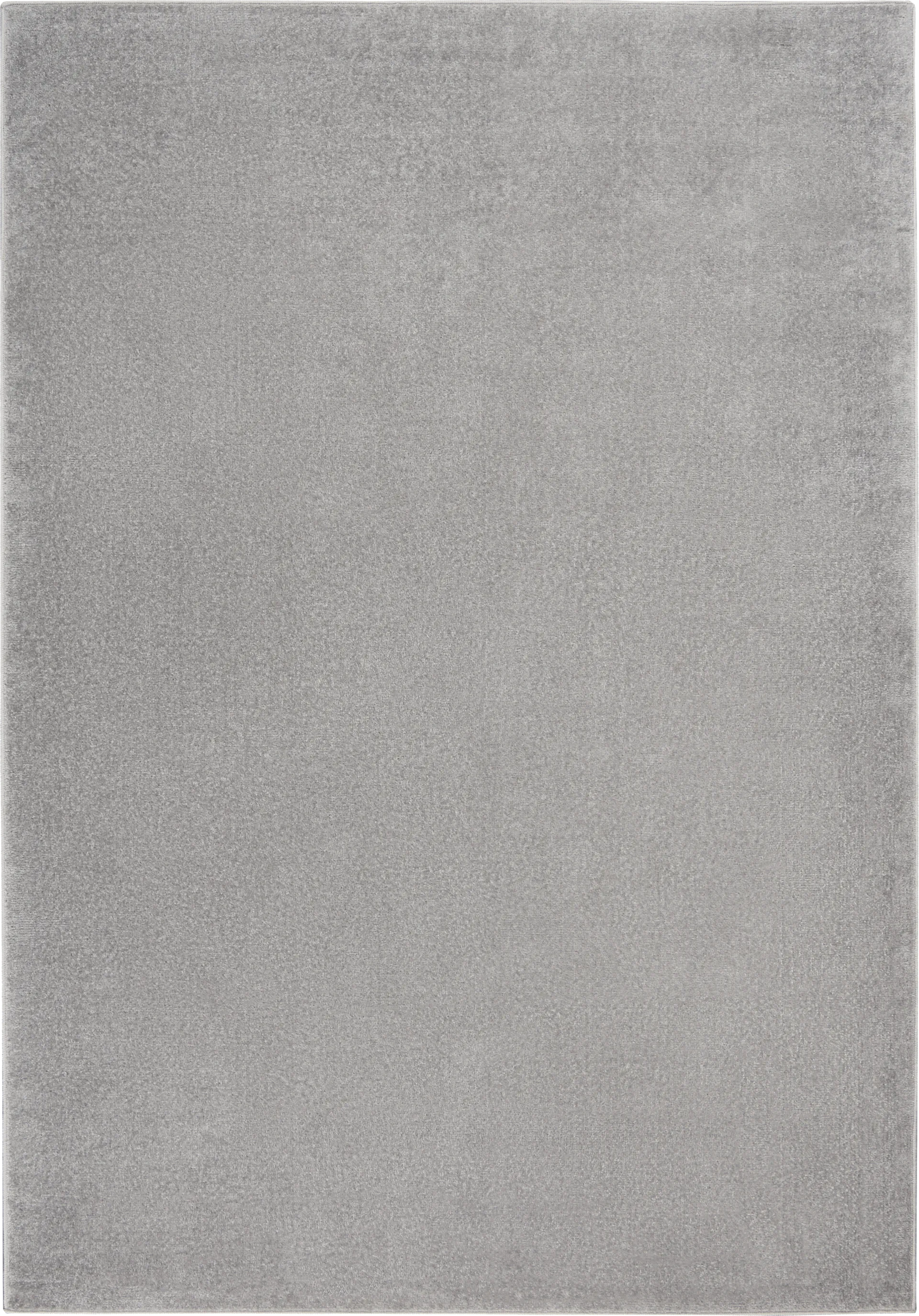 Easthagen Gray 5' x 7' Indoor/Outdoor Rug - Image 1