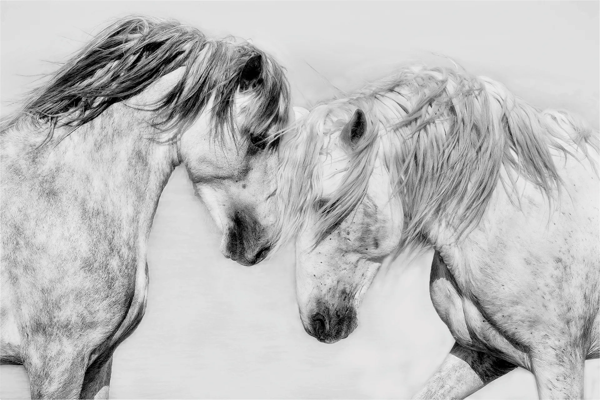 Altamount Multi Artwork - Image 1