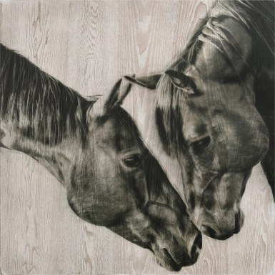 Goleys Multi Artwork