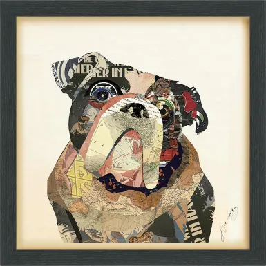 Macemon Multi Artwork