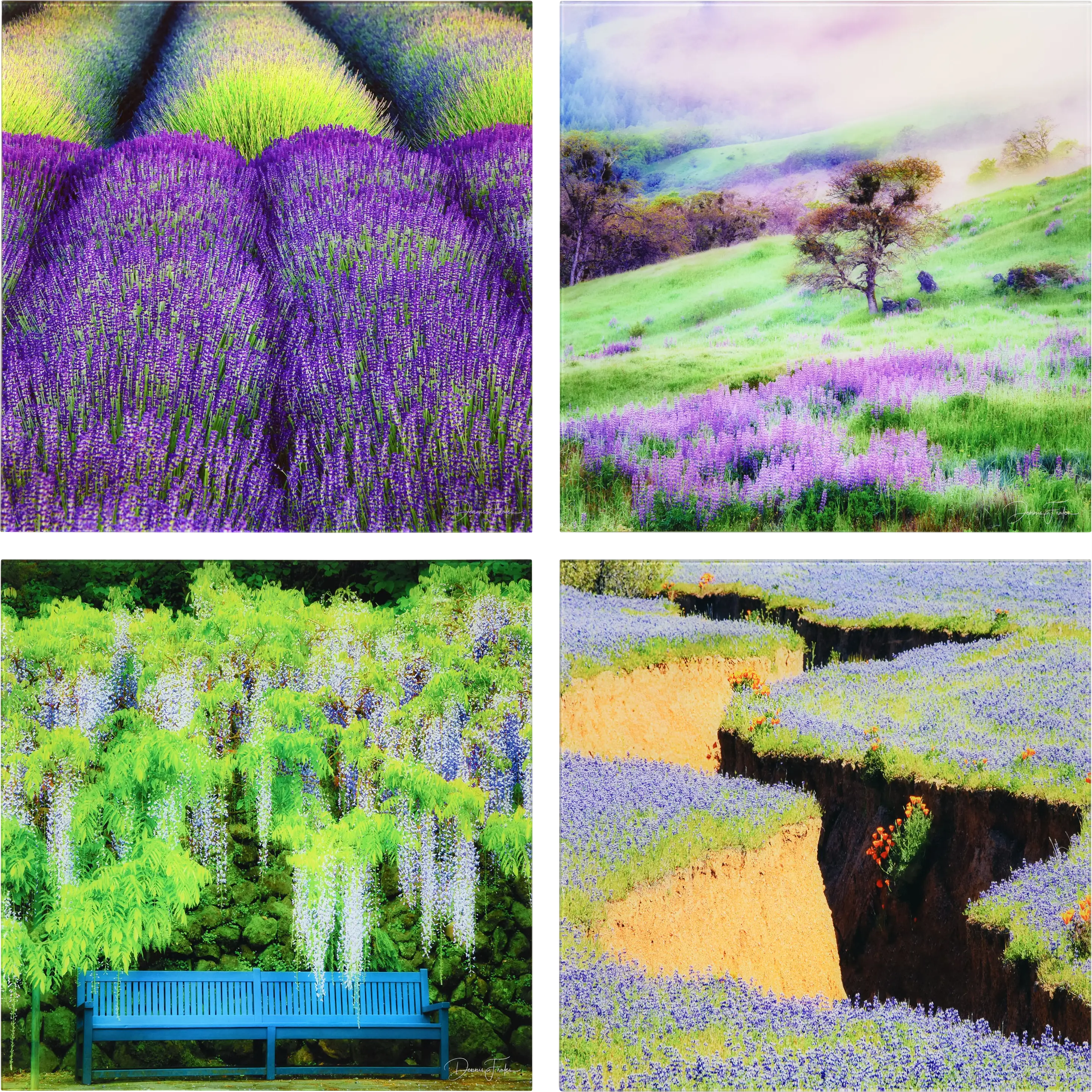 Patzke II Multi Artwork