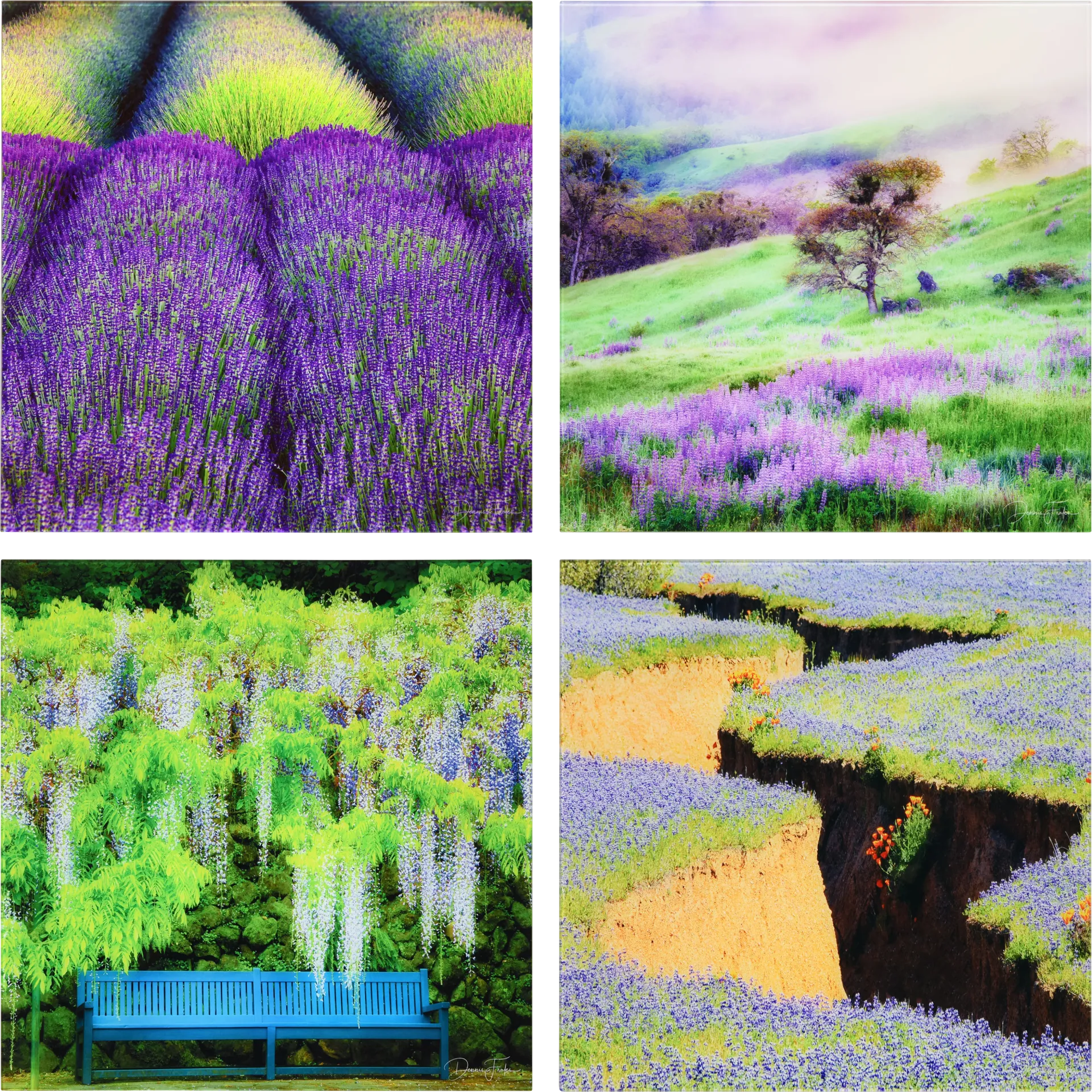 Patzke II Multi Artwork - Image 1