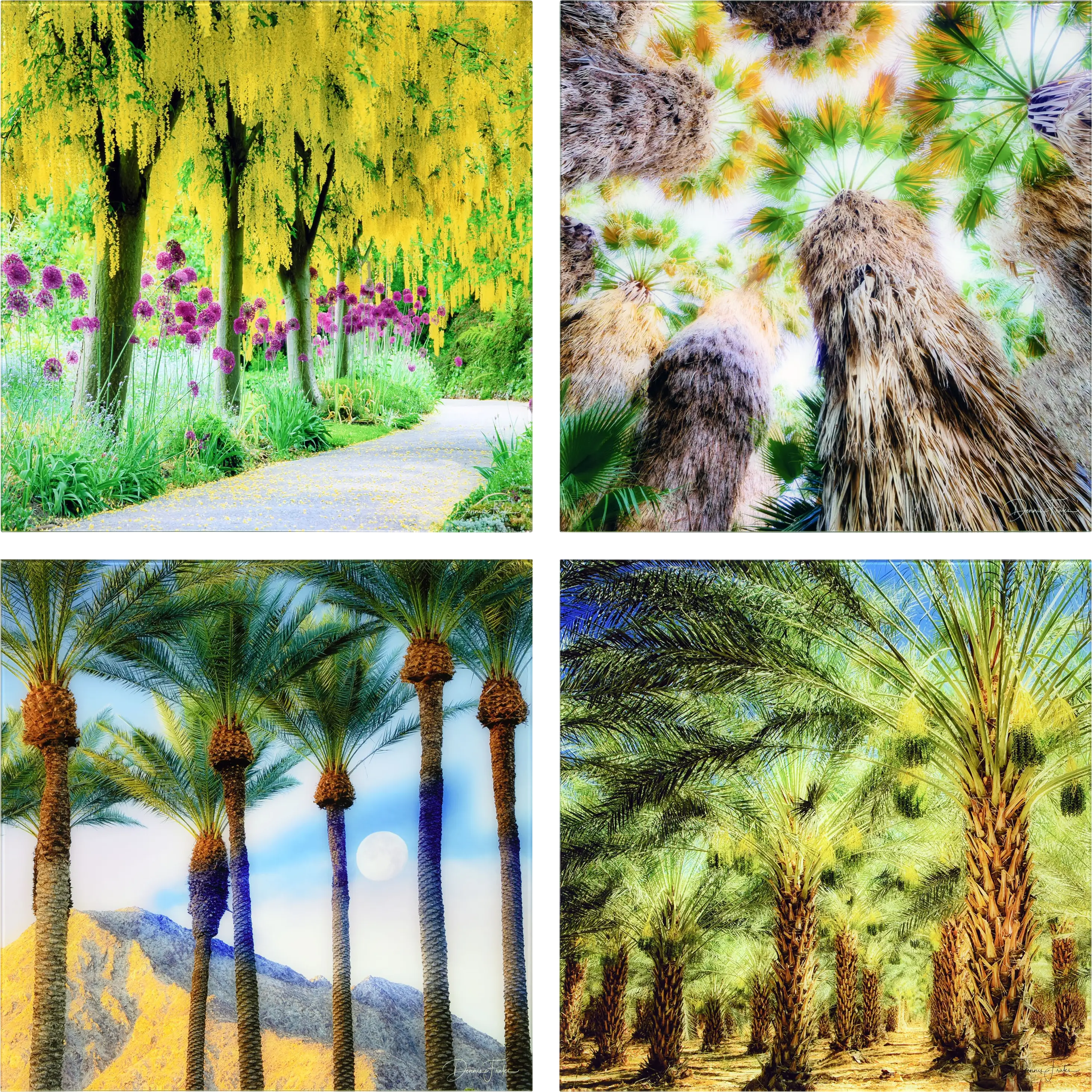 Patzke III Multi Artwork - Thumbnail - Image 1