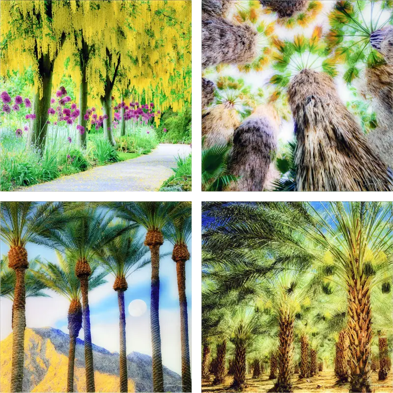 Patzke III Multi Artwork