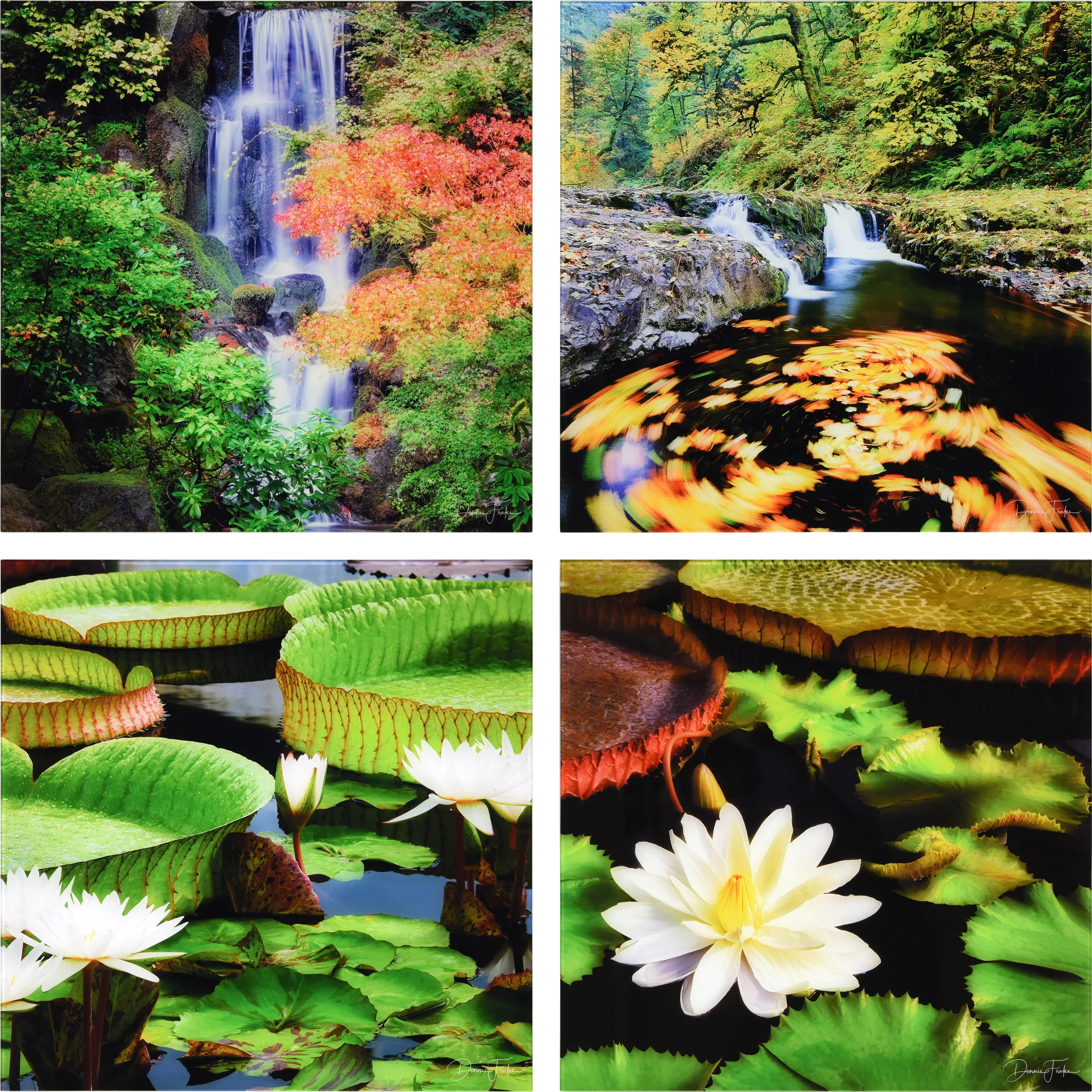 Patzke IV Multi Artwork - Thumbnail - Image 1