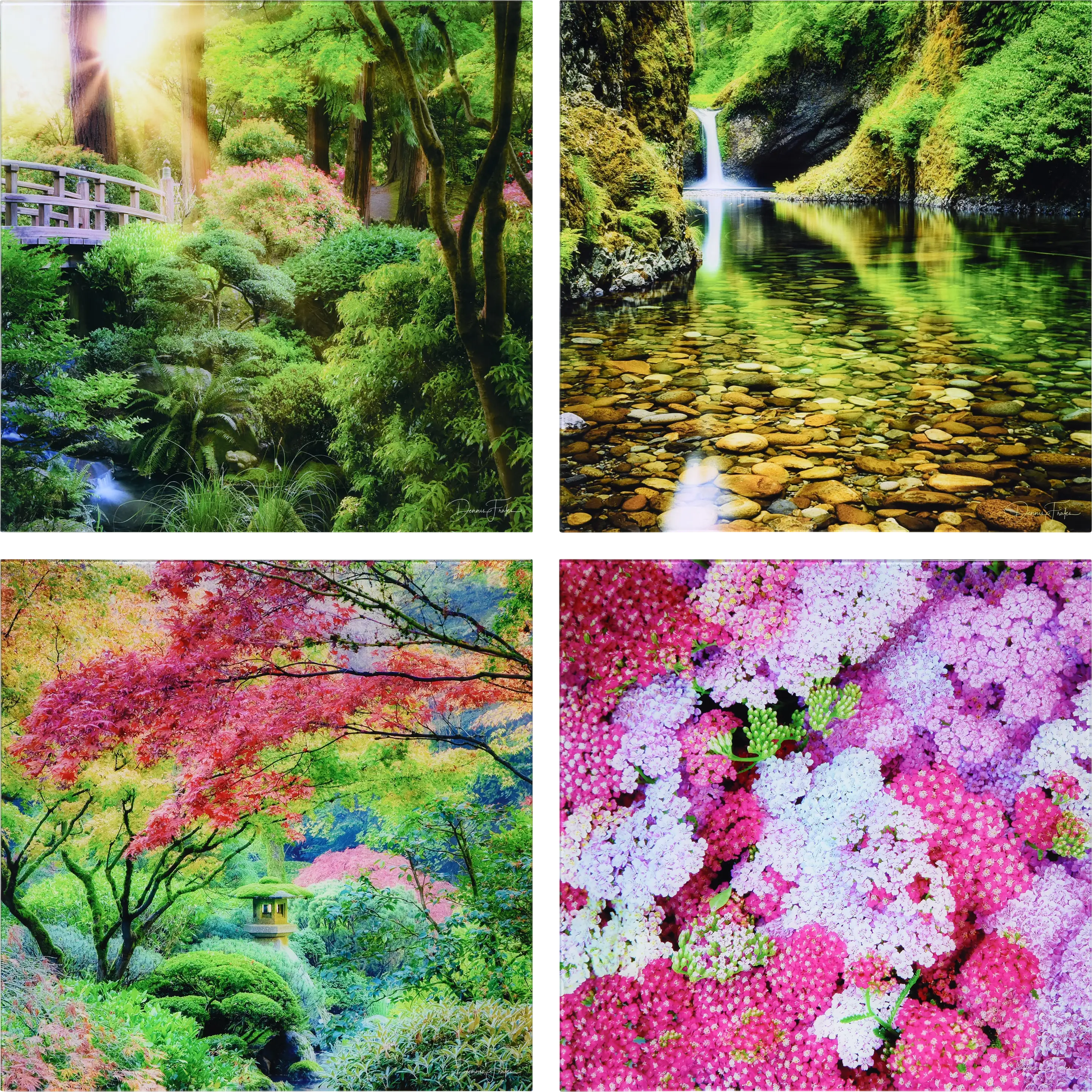 Patzke Multi Artwork - Thumbnail - Image 1