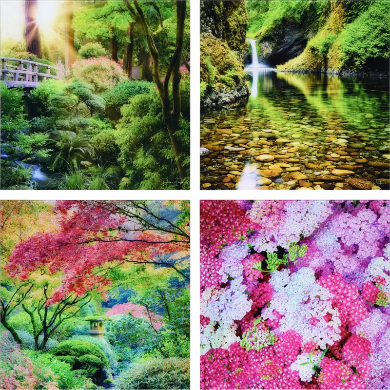 Patzke Multi Artwork