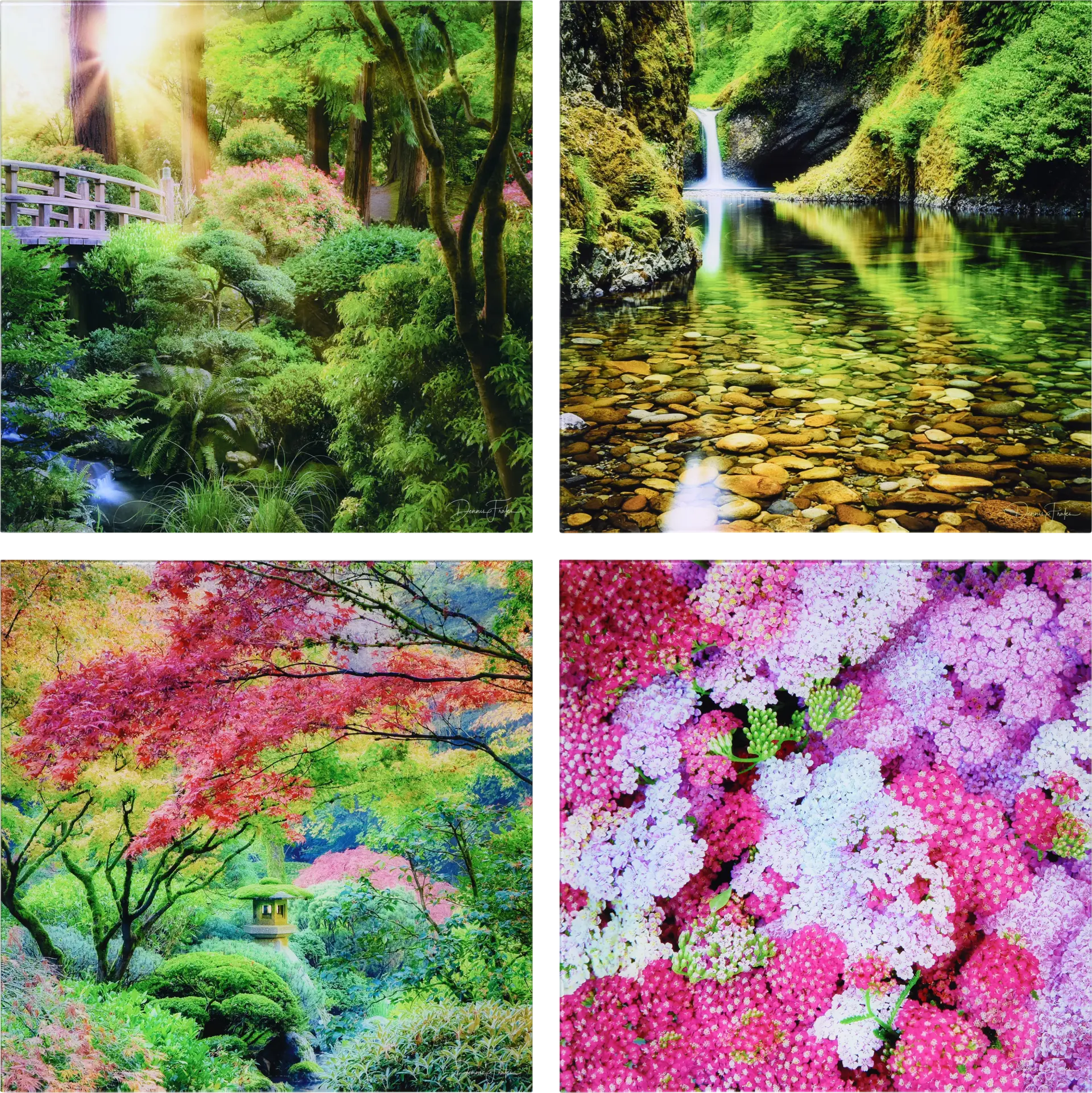 Patzke Multi Artwork