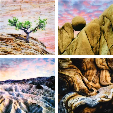 Patzke VI Multi Artwork