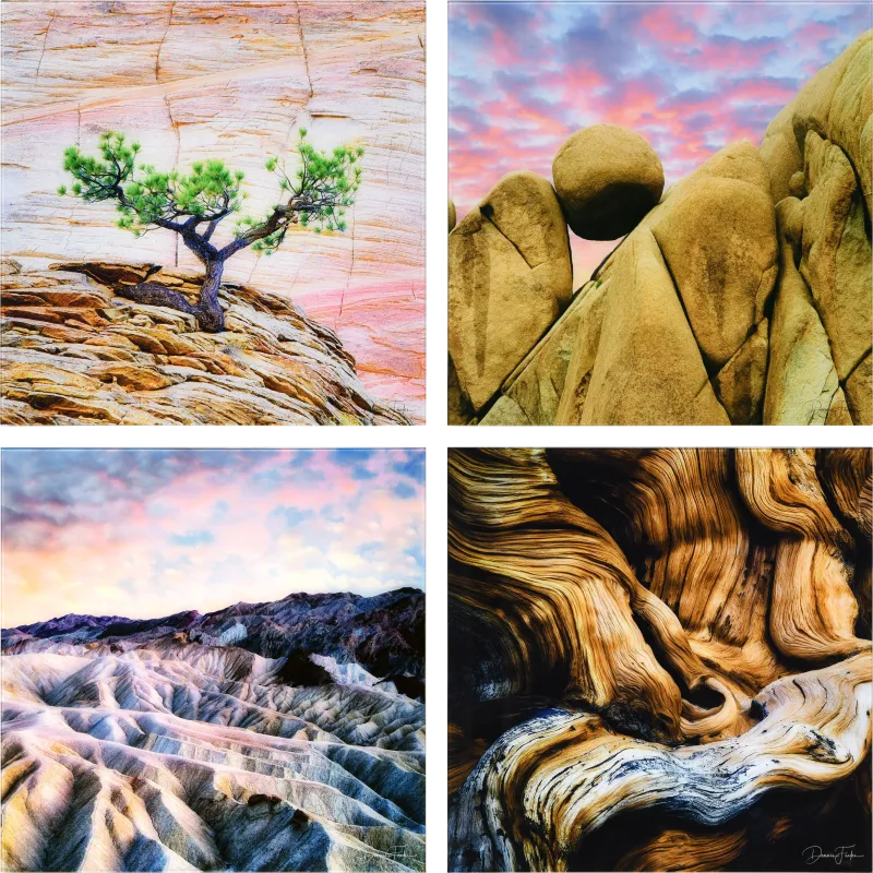 Patzke VI Multi Artwork