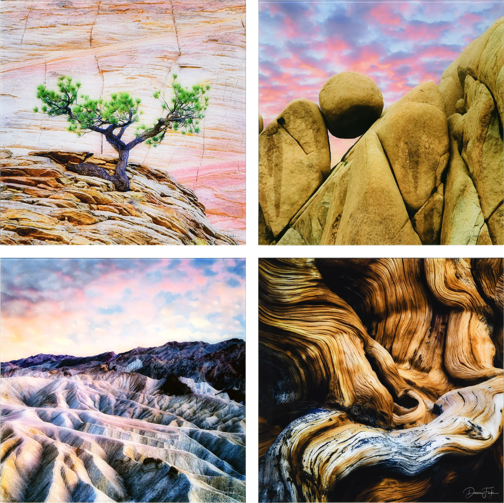 Patzke VI Multi Artwork - Image 1