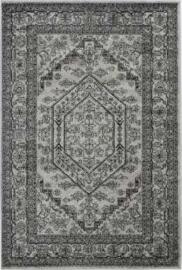 Daylee Silver 5' x 8' Rug