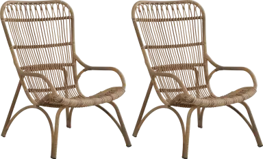 set of 2 chairs