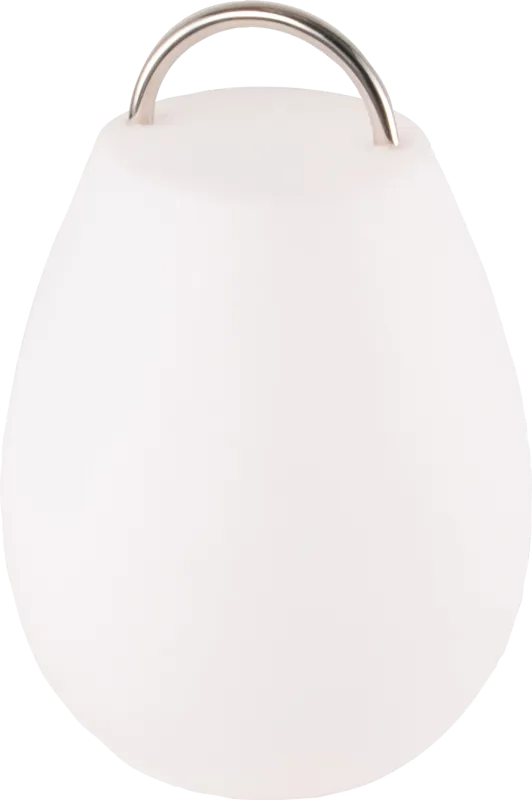Pedro Cove Indoor/Outdoor White Rechargeable Lantern