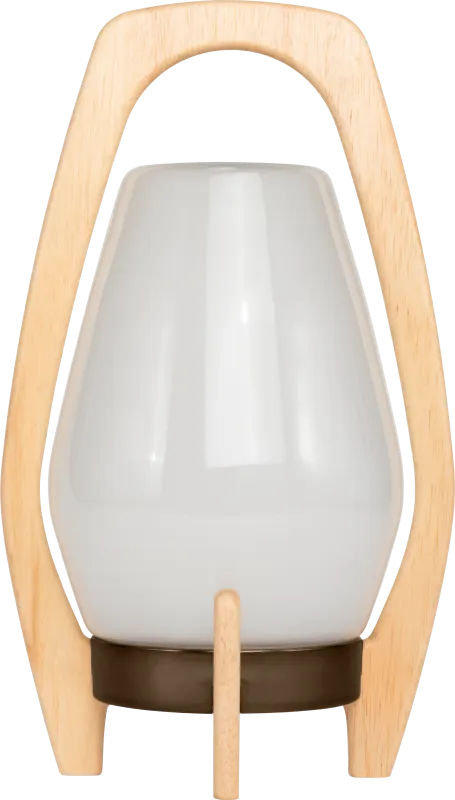 Arilis Farm Indoor/Outdoor White Lantern