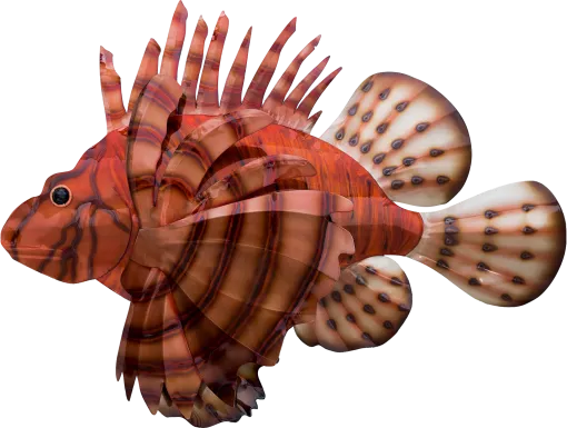 Vibrant Lion Fish Red Outdoor Wall Art