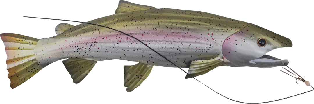 Fishing For Trout Green Wall Art