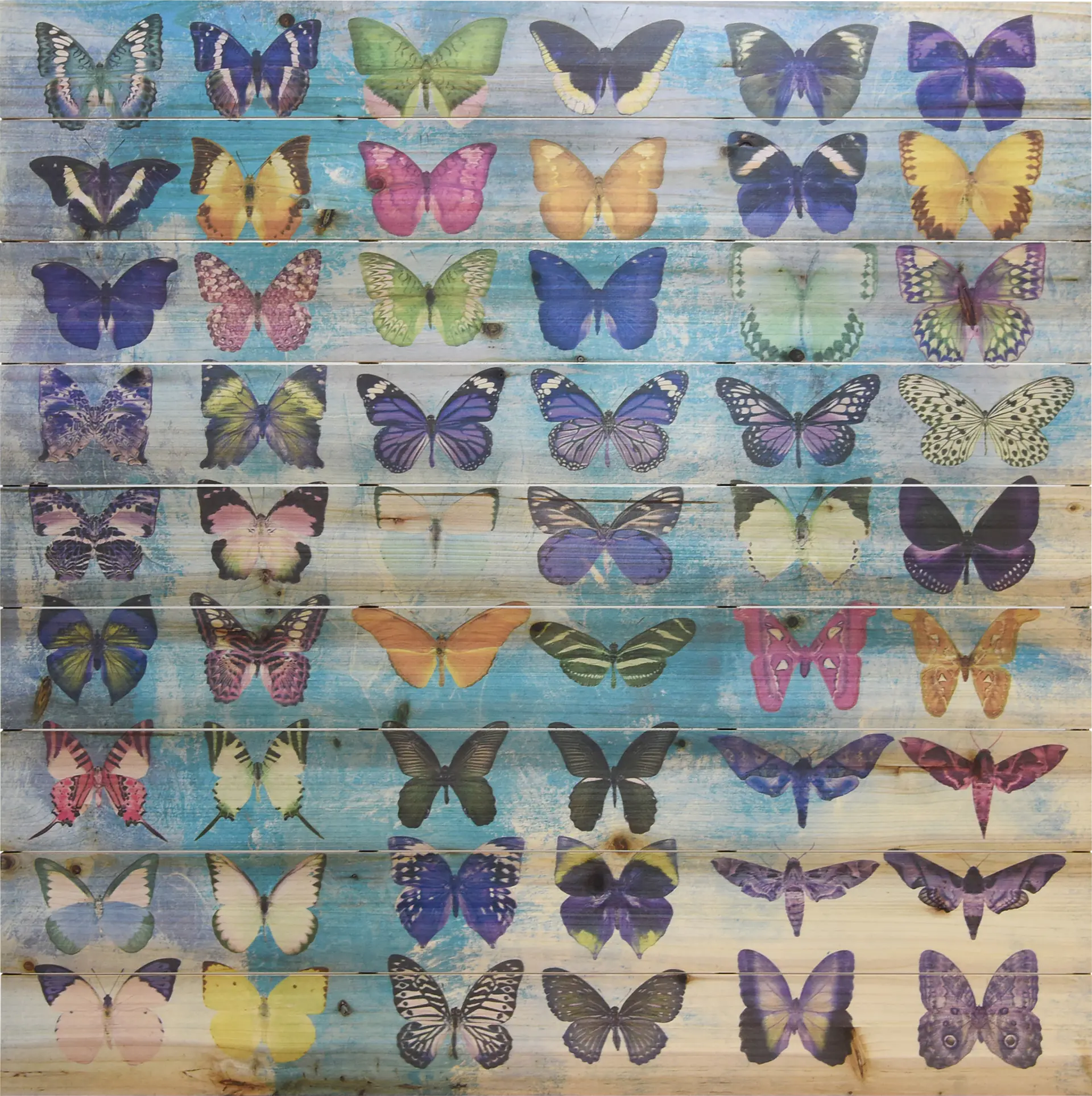 Kids Butterfly Family Rainbow Wall Art
