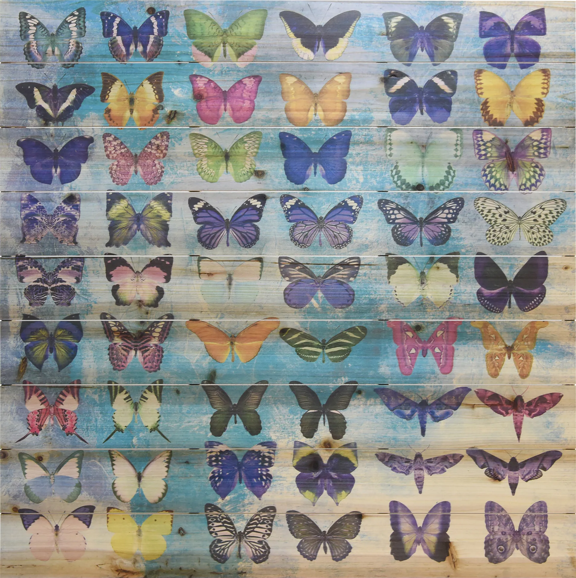 Kids Butterfly Family Rainbow Wall Art - Image 1