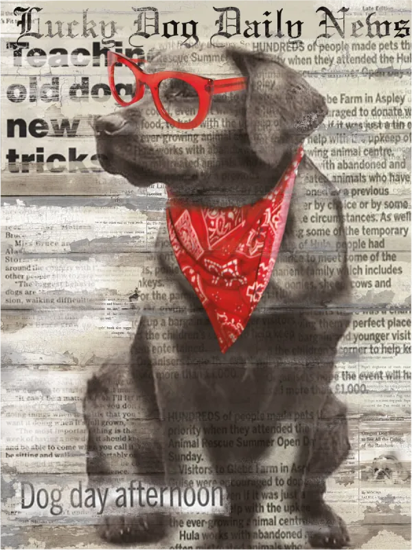 Kids Doggie Papers II Gray Artwork