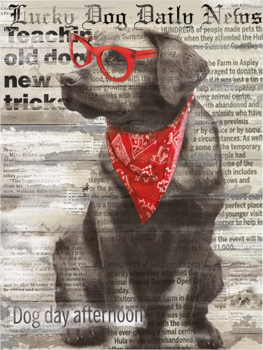 Kids Doggie Papers II Gray Artwork - Image 1