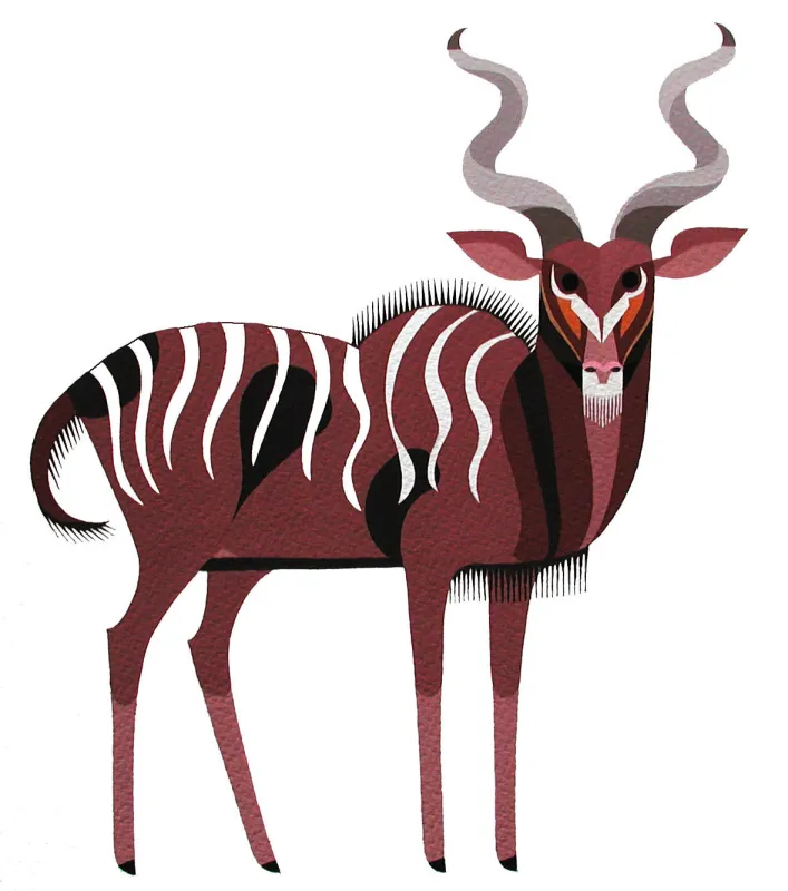 Kids Antelope Games Artwork